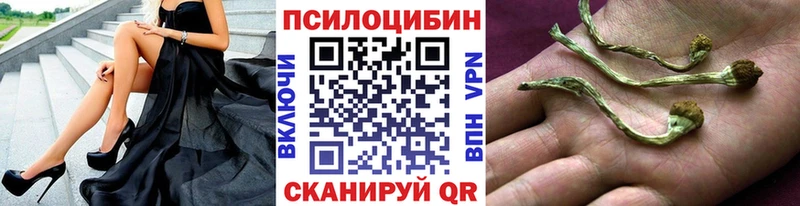OMG зеркало Харовск Галлюциногенные грибы мухоморы как найти наркотики